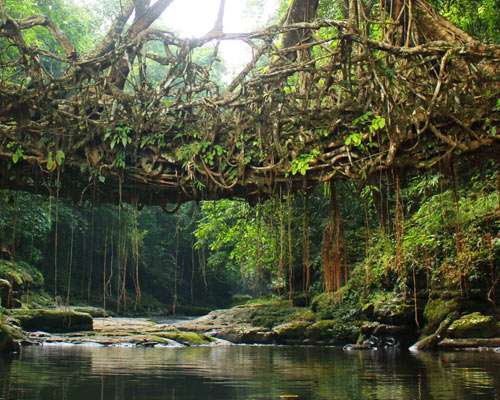 Meghalaya